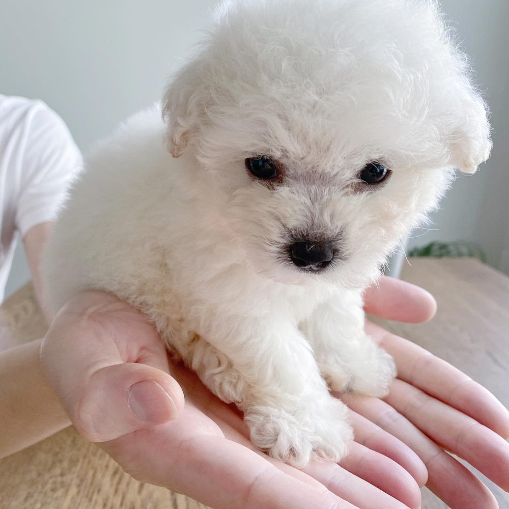 Shop Secondary Image