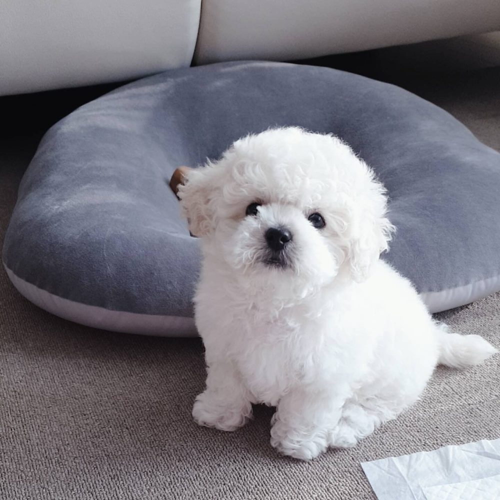 Shop Secondary Image