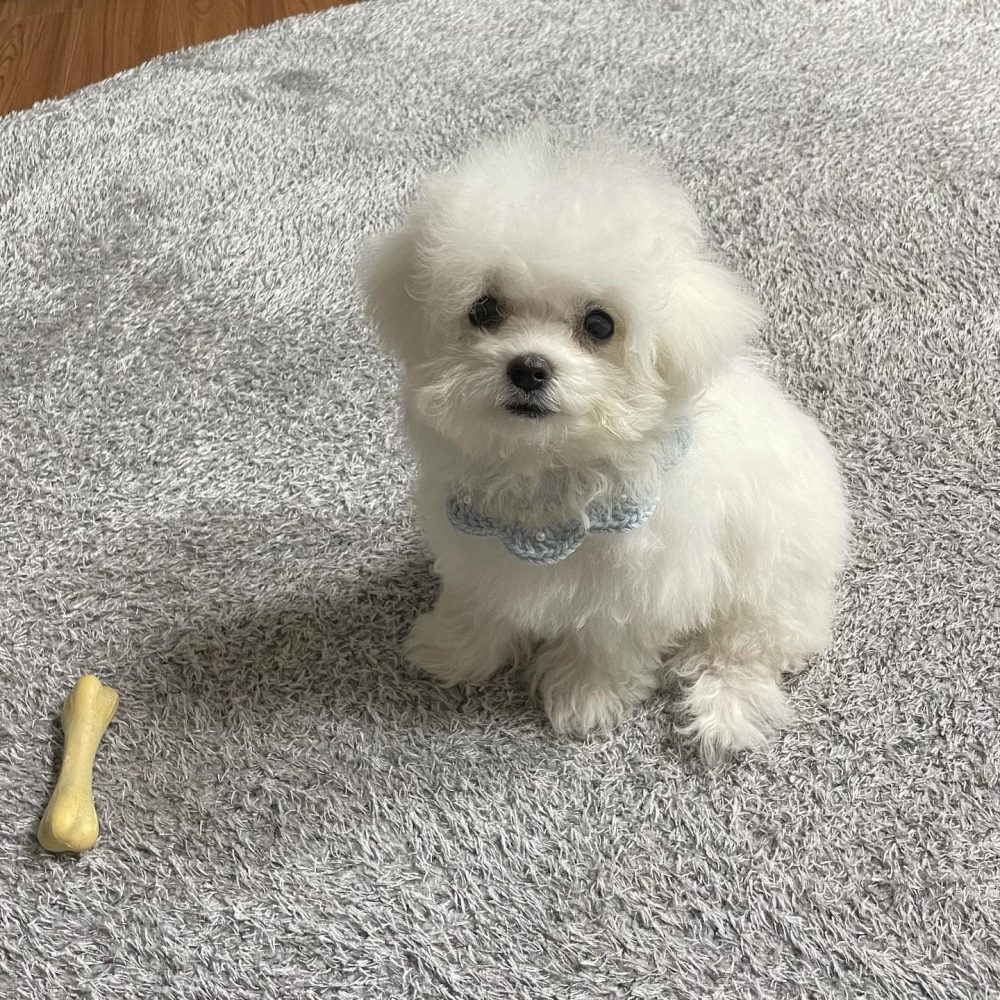 Shop Secondary Image