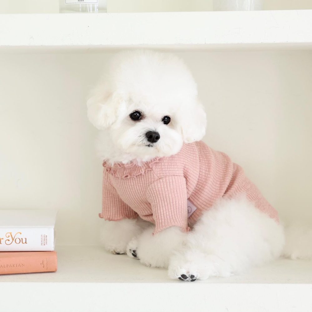 Shop Secondary Image