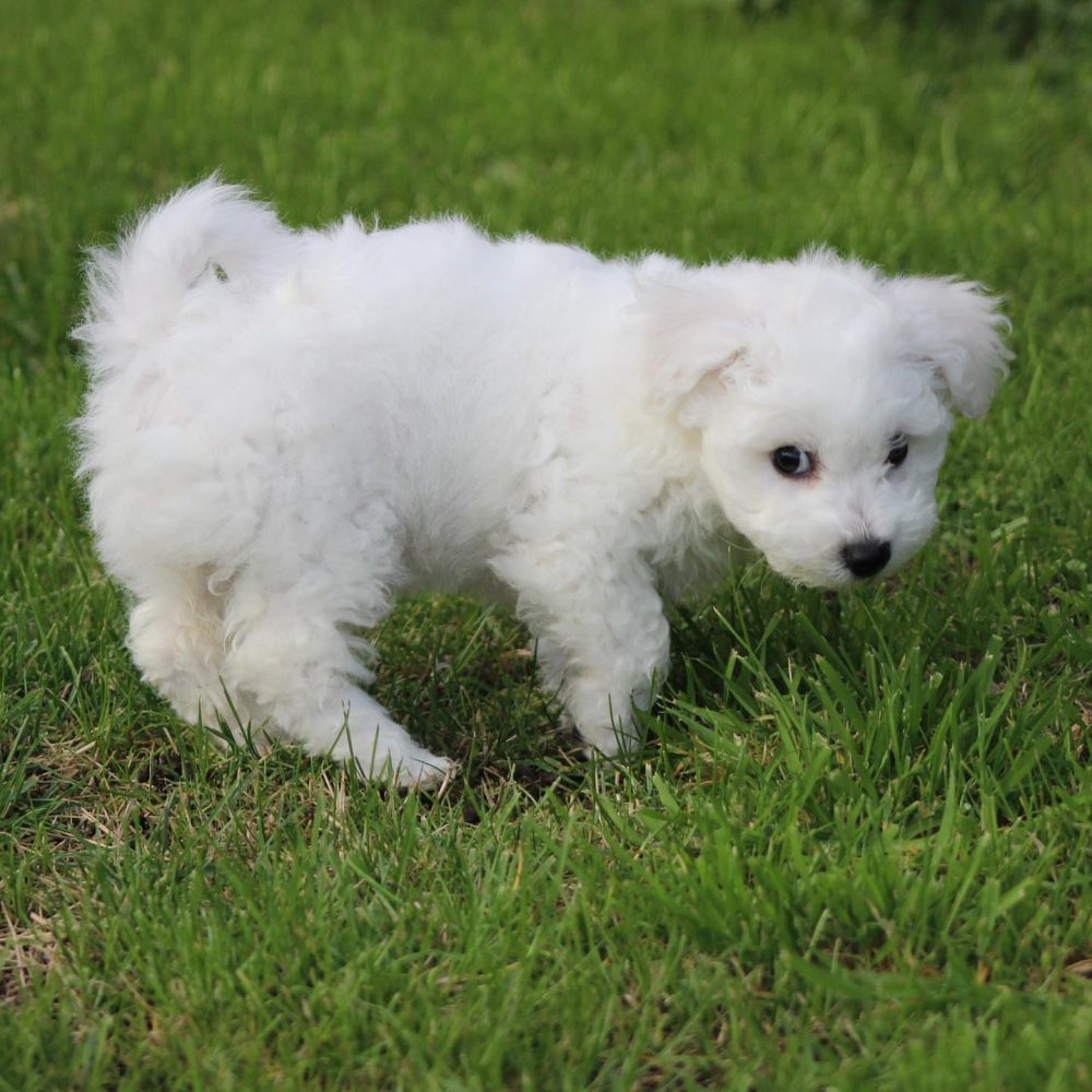 Shop Secondary Image